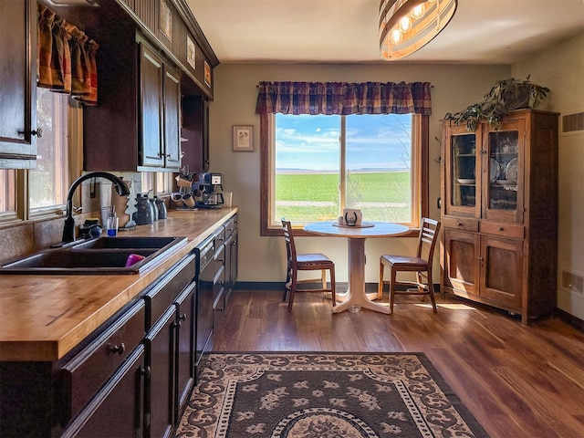 481 24th Rd NE, Dutton, MT 59433 - kitchen featuring a sink, healthy amount of natural light, dark wood-type flooring, and butcher block counters