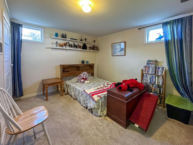 481 24th Rd NE, Dutton, MT 59433 - carpeted bedroom with multiple windows
