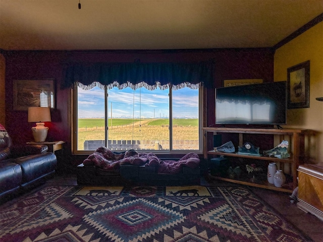 481 24th Rd NE, Dutton, MT 59433 - view of living area