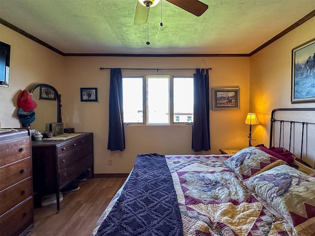 481 24th Rd NE, Dutton, MT 59433 - bedroom with wood finished floors, crown molding, a textured ceiling, and a ceiling fan