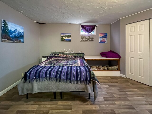 481 24th Rd NE, Dutton, MT 59433 - bedroom with wood finished floors, baseboards, a textured ceiling, and a closet