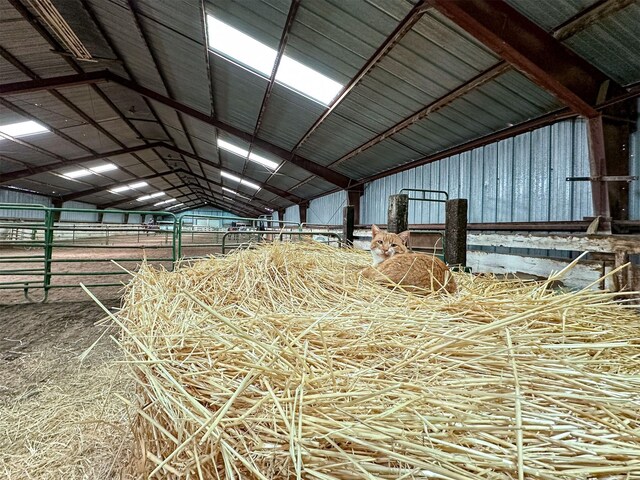 481 24th Rd NE, Dutton, MT 59433 - view of stable