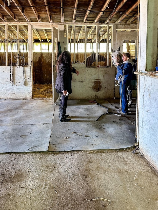 481 24th Rd NE, Dutton, MT 59433 - view of stable