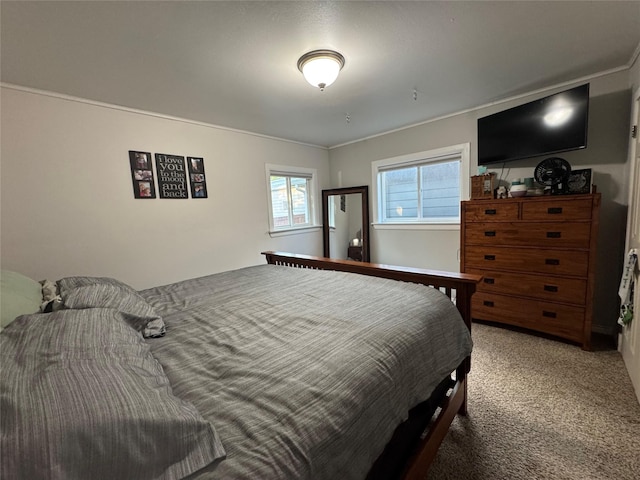 1631 Juniper Dr, Havre, MT 59501 - view of carpeted bedroom