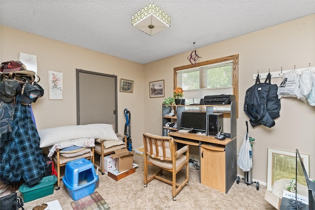 417 56th St S, Great Falls, MT 59405 - office space with carpet floors and a textured ceiling