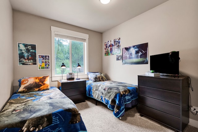 12800 Mill Creek Rd, Lolo, MT 59847 - bedroom featuring carpet flooring