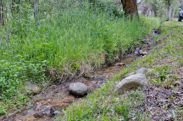 12800 Mill Creek Rd, Lolo, MT 59847 - view of nature