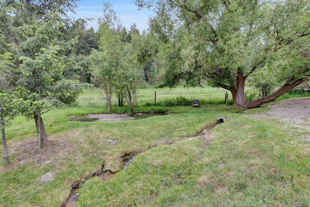 12800 Mill Creek Rd, Lolo, MT 59847 - view of yard