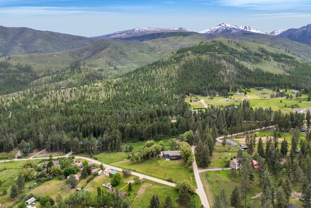 12800 Mill Creek Rd, Lolo, MT 59847 - view of mountain background with a forest