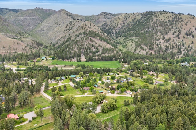 12800 Mill Creek Rd, Lolo, MT 59847 - aerial view of property and surrounding area featuring a mountainous background and a heavily wooded area