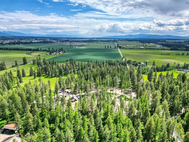 4357 Trumble Creek Rd, Columbia Falls, MT 59912 - view of rural area featuring rows of crops and a mountain backdrop