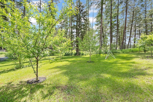 4357 Trumble Creek Rd, Columbia Falls, MT 59912 - view of green lawn