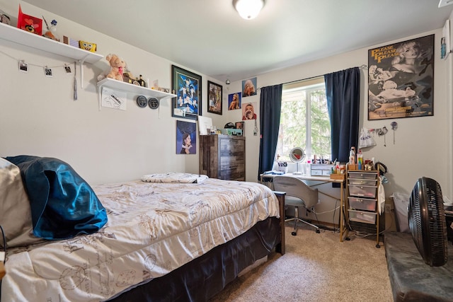 4357 Trumble Creek Rd, Columbia Falls, MT 59912 - view of carpeted bedroom