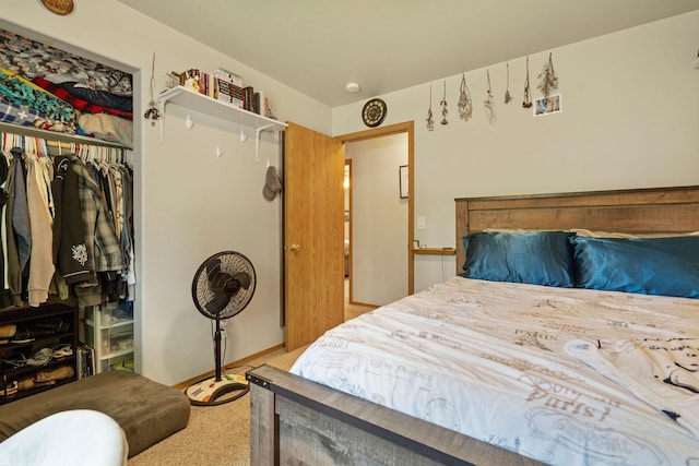 4357 Trumble Creek Rd, Columbia Falls, MT 59912 - carpeted bedroom with a closet and baseboards