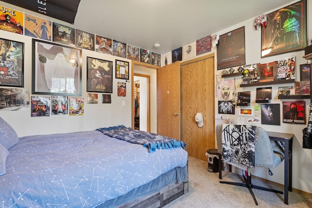 4357 Trumble Creek Rd, Columbia Falls, MT 59912 - carpeted bedroom featuring a closet