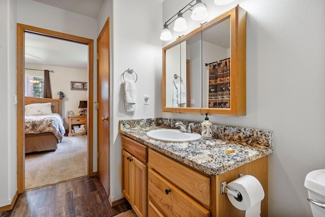 4357 Trumble Creek Rd, Columbia Falls, MT 59912 - ensuite bathroom with wood finished floors, vanity, and toilet