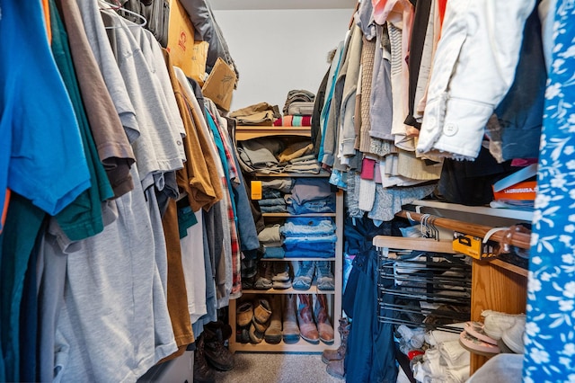 4357 Trumble Creek Rd, Columbia Falls, MT 59912 - view of walk in closet