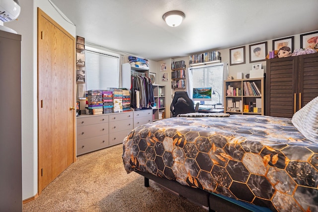 4357 Trumble Creek Rd, Columbia Falls, MT 59912 - carpeted bedroom featuring a wall unit AC
