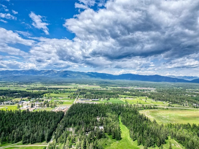 4357 Trumble Creek Rd, Columbia Falls, MT 59912 - view of mountain backdrop