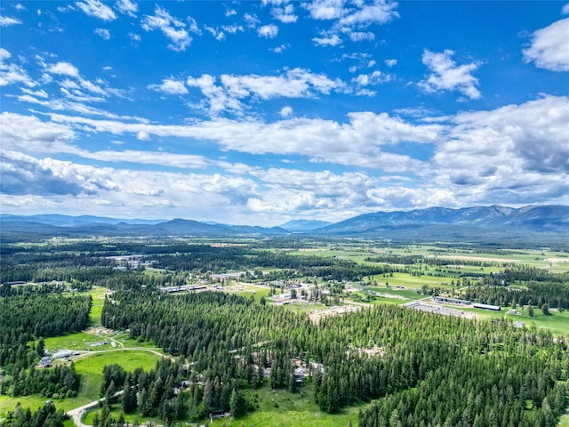 4357 Trumble Creek Rd, Columbia Falls, MT 59912 - mountain view