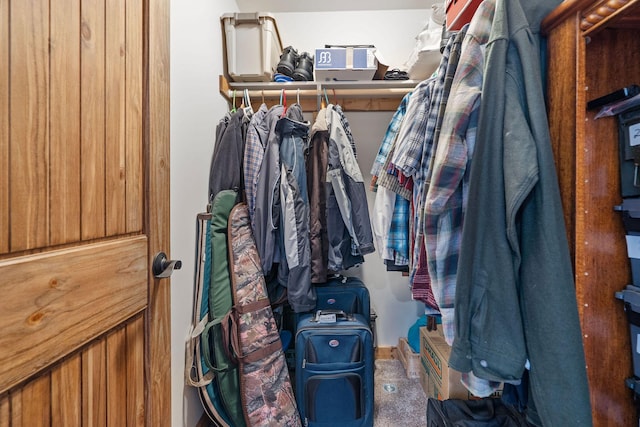 4357 Trumble Creek Rd, Columbia Falls, MT 59912 - walk in closet featuring carpet flooring