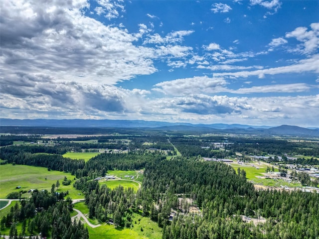 4357 Trumble Creek Rd, Columbia Falls, MT 59912 - aerial view of mountains