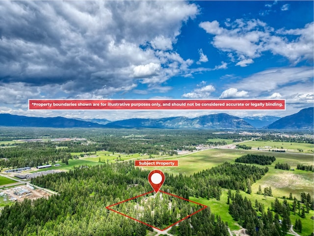 4357 Trumble Creek Rd, Columbia Falls, MT 59912 - aerial view of property and surrounding area with a mountainous background and property parcel outlined