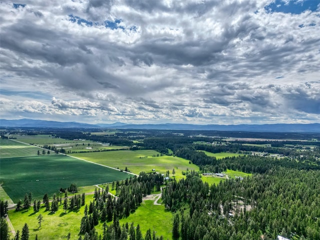 4357 Trumble Creek Rd, Columbia Falls, MT 59912 - view of rural area with a mountainous background
