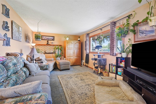 1021 Vallejo Rd, Helena, MT 59602 - living area featuring a textured ceiling and light carpet