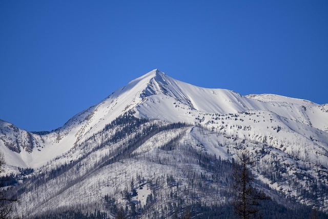 NHN Stoner Lake Rd, Condon, MT 59826