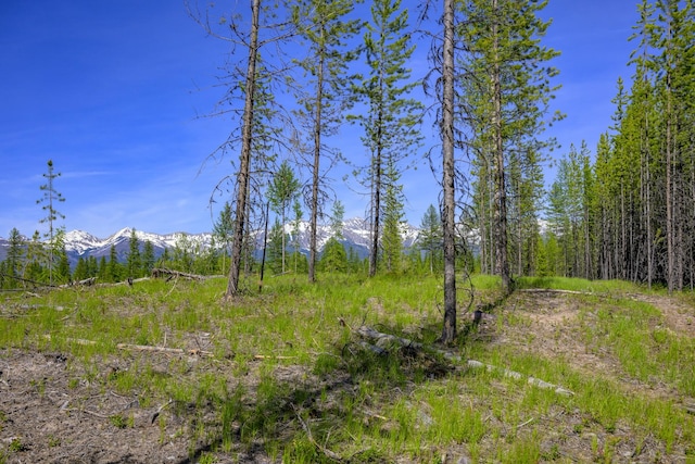 NHN Stoner Lake Rd, Condon, MT 59826