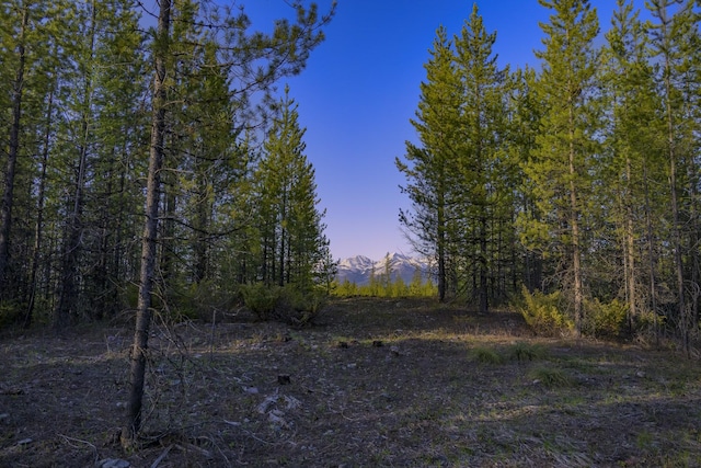 NHN Stoner Lake Rd, Condon, MT 59826