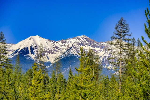 NHN Stoner Lake Rd, Condon, MT 59826