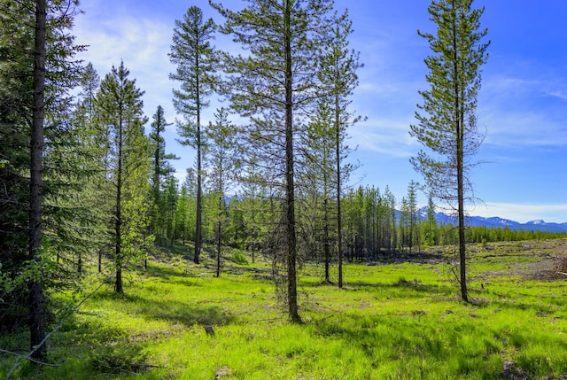 NHN Stoner Lake Rd, Condon, MT 59826