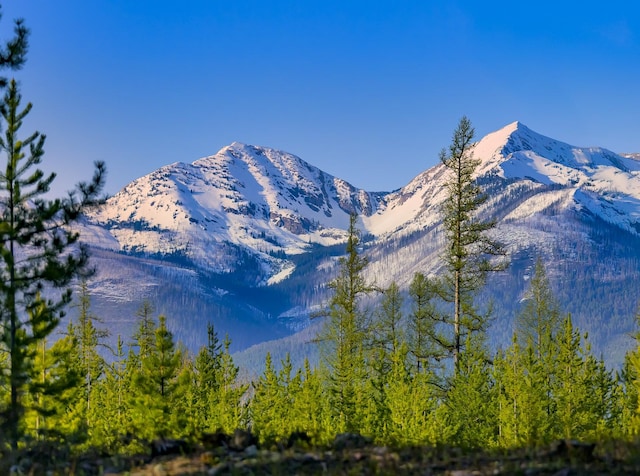 NHN Stoner Lake Rd, Condon, MT 59826