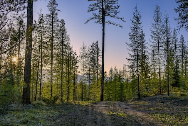 NHN Stoner Lake Rd, Condon, MT 59826
