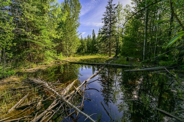 NHN Stoner Lake Rd, Condon, MT 59826