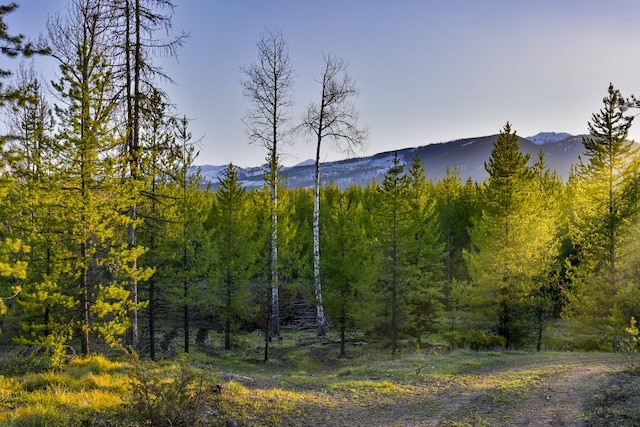NHN Stoner Lake Rd, Condon, MT 59826