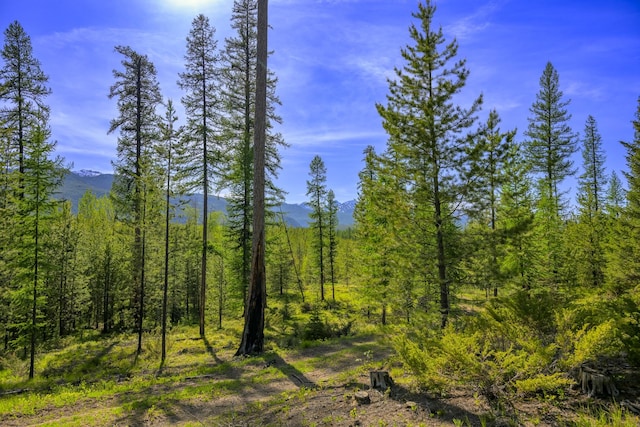 NHN Stoner Lake Rd, Condon, MT 59826