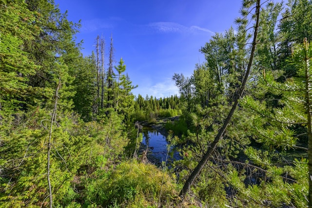 NHN Stoner Lake Rd, Condon, MT 59826