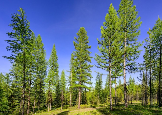 NHN Stoner Lake Rd, Condon, MT 59826