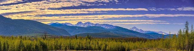 NHN Stoner Lake Rd, Condon, MT 59826