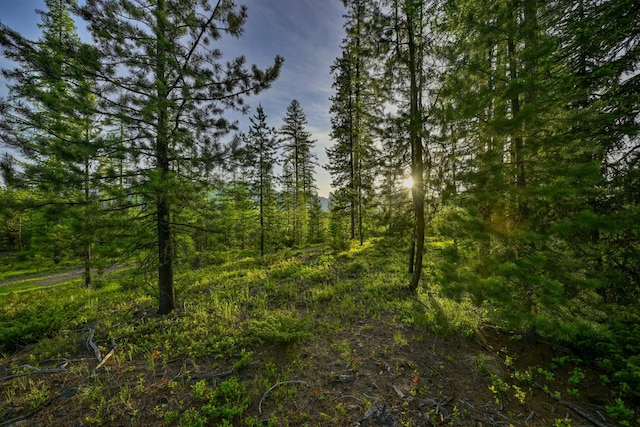 NHN Stoner Lake Rd, Condon, MT 59826