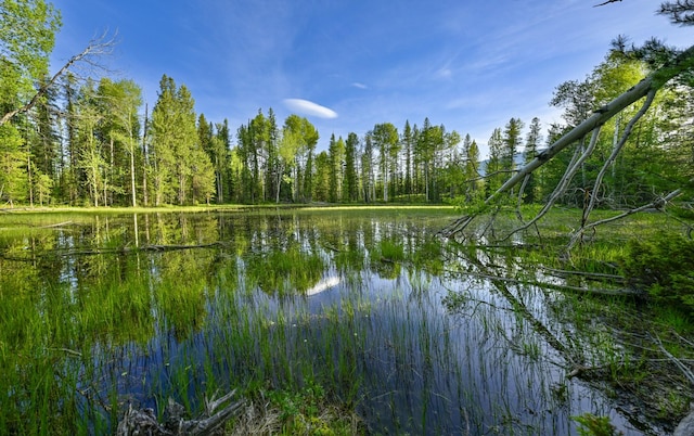 NHN Stoner Lake Rd, Condon, MT 59826