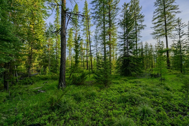 NHN Stoner Lake Rd, Condon, MT 59826