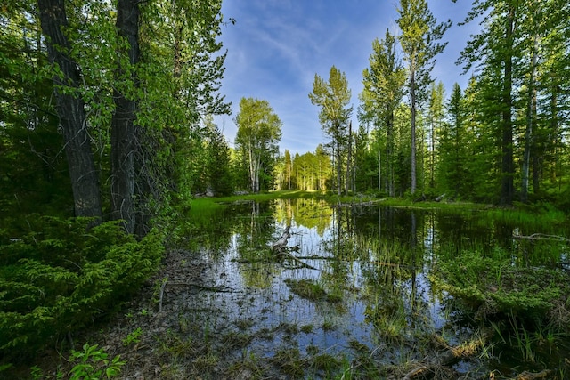 NHN Stoner Lake Rd, Condon, MT 59826