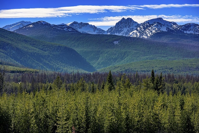 NHN Stoner Lake Rd, Condon, MT 59826