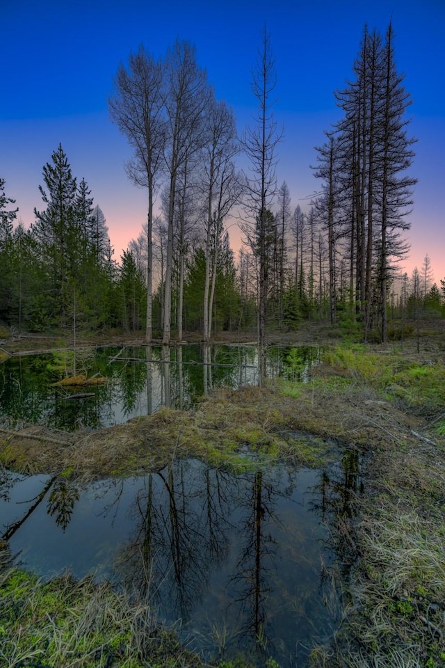 NHN Stoner Lake Rd, Condon, MT 59826