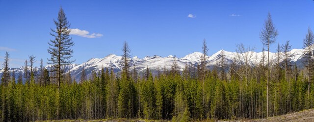NHN Stoner Lake Rd, Condon, MT 59826