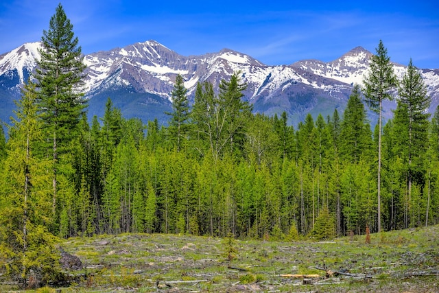 NHN Stoner Lake Rd, Condon, MT 59826